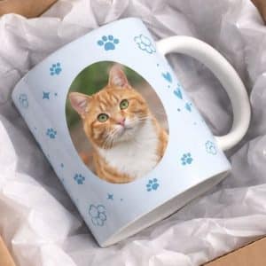 כוס לשתיה חמה עם תמונה אישית לבחירתכם ועיצוב ייחודי דגם Blue Paws באריזה